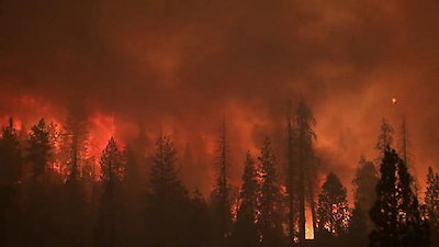 ABC World News Season 11 Episode 249