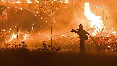 ABC World News Season 11 Episode 250