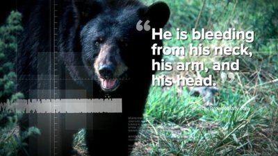ABC World News Season 6 Episode 253
