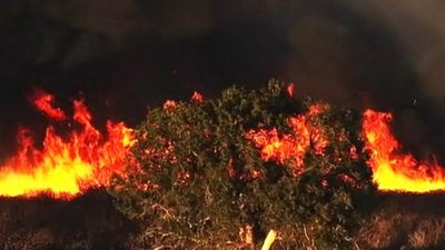 ABC World News Season 5 Episode 11