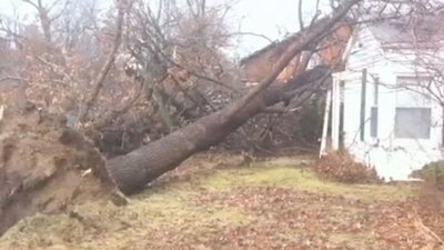 ABC World News Season 1 Episode 262