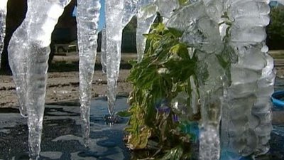 ABC World News Season 1 Episode 249