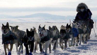 Nightline Season 38 Episode 233