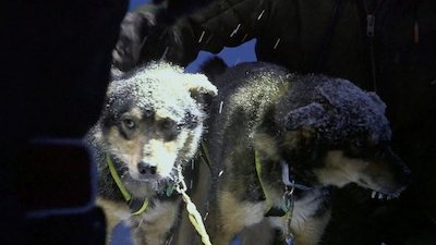 Nightline Season 38 Episode 254