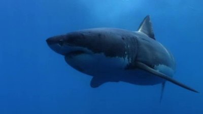 Nightline Season 39 Episode 169