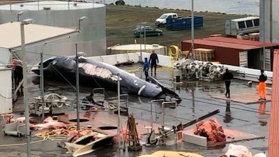 Nightline Season 40 Episode 1