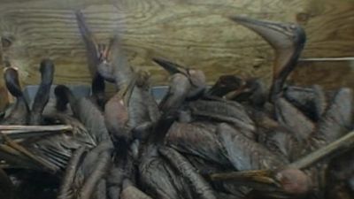 Nightline Season 31 Episode 55