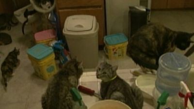 Nightline Season 31 Episode 84