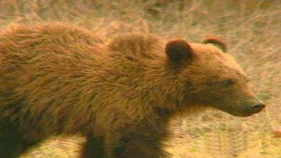 Nightline Season 31 Episode 91