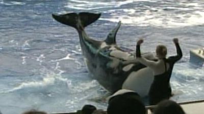 Nightline Season 31 Episode 108