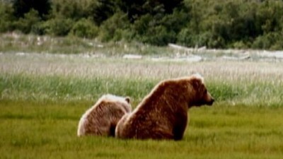 Nightline Season 31 Episode 111