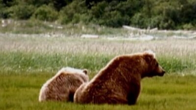 Nightline Season 31 Episode 112