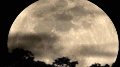 Nightline Season 35 Episode 257