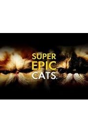 Super Epic Cats