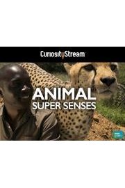 Animal Super Senses