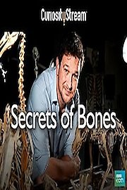 Secrets Of Bones