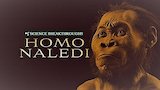 Homo Naledi