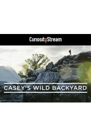 Casey's Wild Backyard