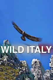 Wild Italy