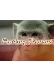 Minkey Thieves