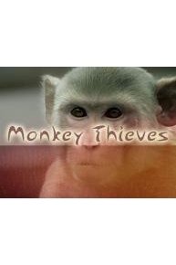 Minkey Thieves