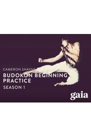 Budokon Beginning Practice