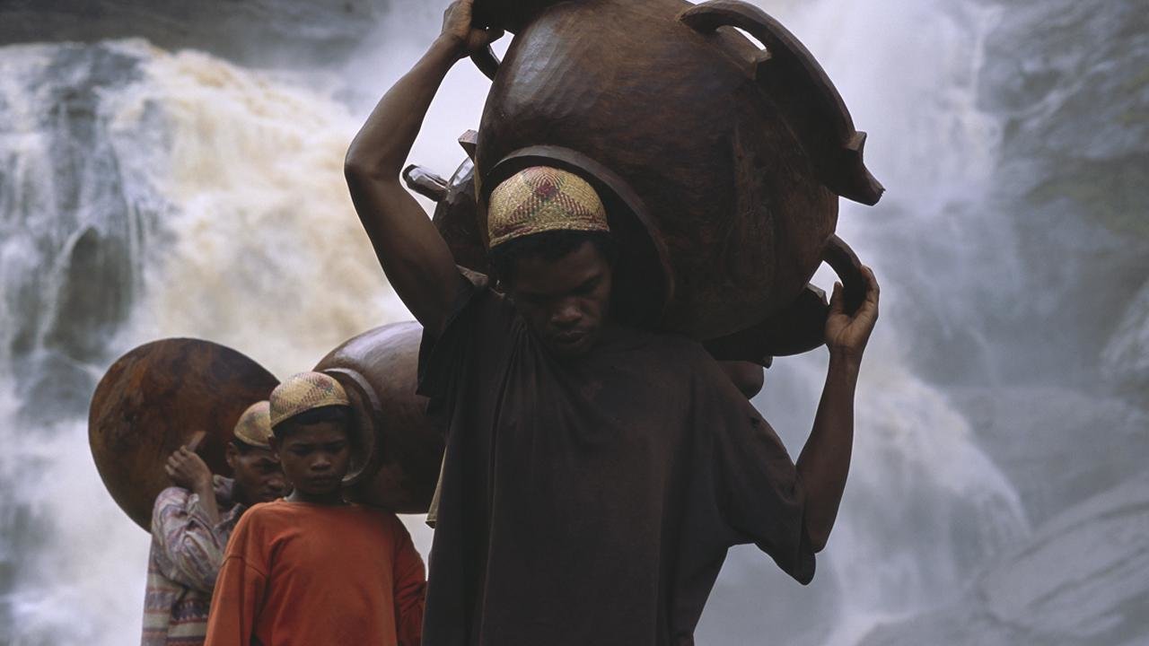 Living Cultures