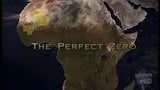 Perfect Zero
