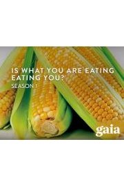 Is What You Are Eating Eating You?