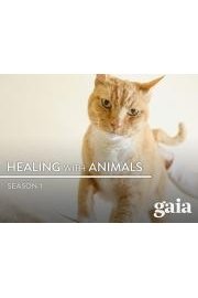 Healing with Animals