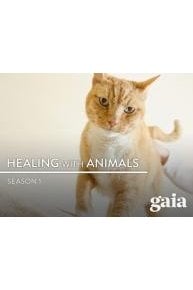 Healing with Animals