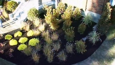 Desperate Landscapes Season 3 Episode 11