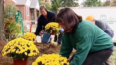 Desperate Landscapes Season 2 Episode 13