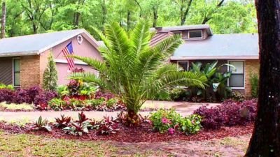 Desperate Landscapes Season 5 Episode 1