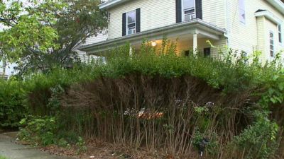 Desperate Landscapes Season 6 Episode 18