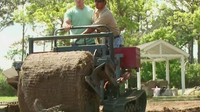 Desperate Landscapes Season 11 Episode 11