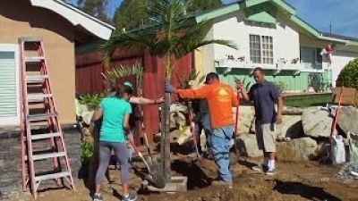 Desperate Landscapes Season 12 Episode 9