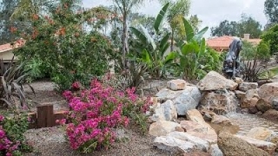 Desperate Landscapes Season 12 Episode 10