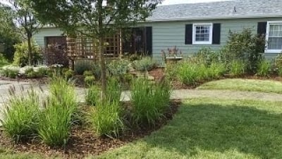 Desperate Landscapes Season 12 Episode 11