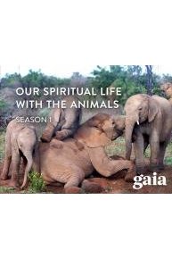 Our Spiritual Life with the Animals