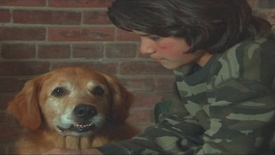 Sue Thomas: F.B.Eye Season 3 Episode 12