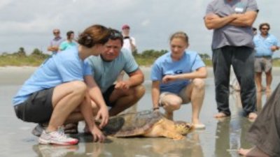 Ocean Mysteries with Jeff Corwin Season 1 Episode 3
