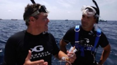 Ocean Mysteries with Jeff Corwin Season 1 Episode 4