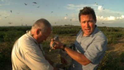 Ocean Mysteries with Jeff Corwin Season 1 Episode 5