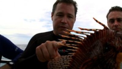 Ocean Mysteries with Jeff Corwin Season 1 Episode 8