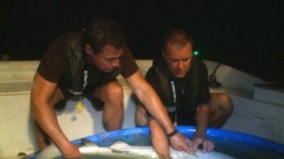 Ocean Mysteries with Jeff Corwin Season 1 Episode 9