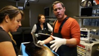 Ocean Mysteries with Jeff Corwin Season 1 Episode 12