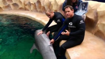 Ocean Mysteries with Jeff Corwin Season 1 Episode 13