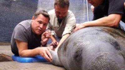 Ocean Mysteries with Jeff Corwin Season 1 Episode 14