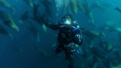 Ocean Mysteries with Jeff Corwin Season 1 Episode 17